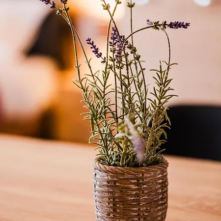 Pezodromos * Kalavryta