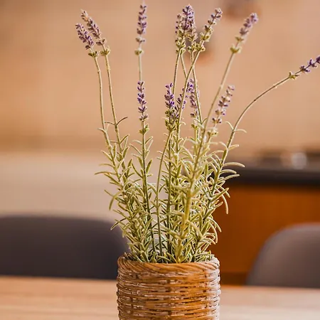 아파트 Pezodromos