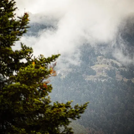 Lejlighed Pezodromos Kalavryta