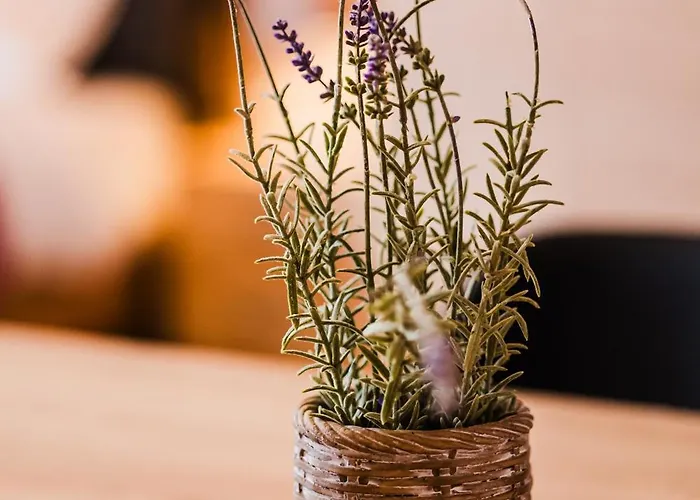 Pezodromos * Kalavryta