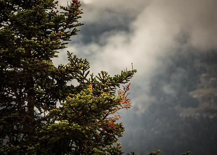 Pezodromos Appartamento Kalavryta